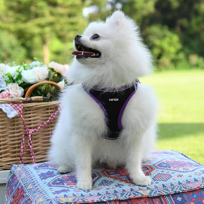 AMTOR Small Dog Harness with Leash Set, No Escape Easy Walk Puppy Harnesses for Training Walking, Step-in Reflective Soft Dogs Vest for XS S Medium Extra-Small Large Sized Dog(Black/Purple,M) - Image 5
