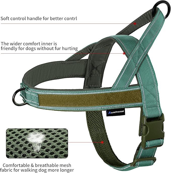 Annchwool No Pull Dog Harness with Padded Handle+5 Ft Leash,Reflective Strip Escape Proof and Quick Fit to Adjust Dog Harness,Easy for Training Walking for Small & Medium and Large Dogs(Green-Set,XL) - Image 4