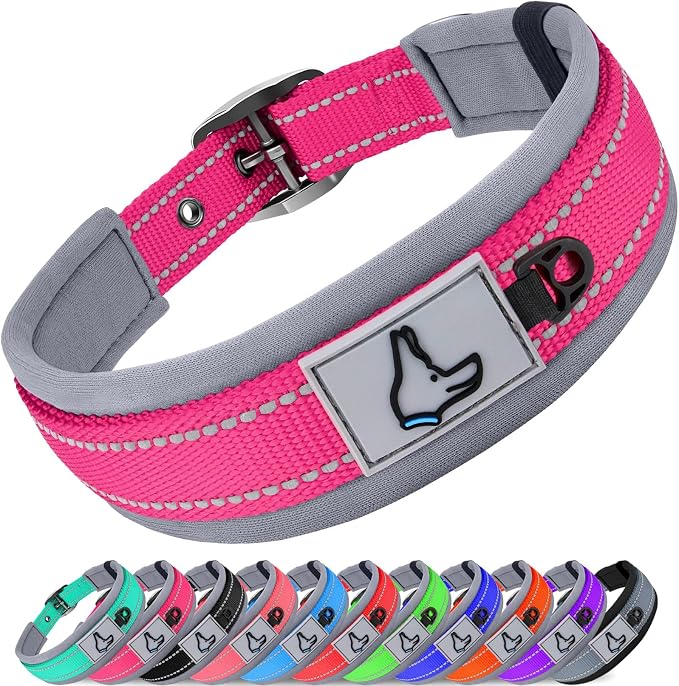 Joytale Reflective Dog Collar for Medium Dogs with Wide Padding, Hotpink | Soft Cushion Reduce Neck Strain, Night Safety Walking, Metal Buckle and Adjustable Eyelets, Separated Dog ID Tag Ring by Joytale