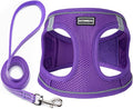 Dog Harness with Leash Set, Step-in Adjustable Puppy Pet Vest, Purple M | Lightweight Breathable Air Mesh, Night Safety Reflective, No Pull Puppy Vest Harnesses for Small Medium Large Dogs, Cats by BOOMIBOO
