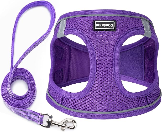 Dog Harness with Leash Set, Step-in Adjustable Puppy Pet Vest, Purple M | Lightweight Breathable Air Mesh, Night Safety Reflective, No Pull Puppy Vest Harnesses for Small Medium Large Dogs, Cats by BOOMIBOO