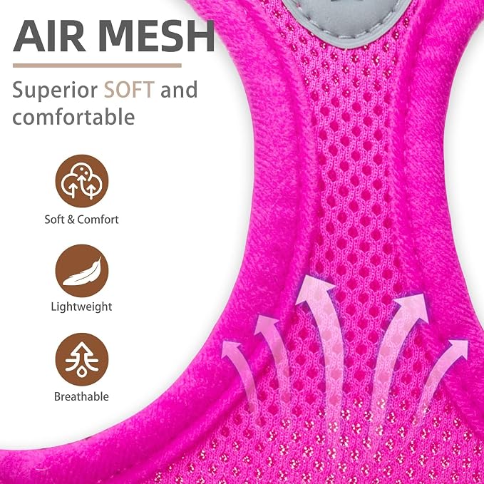 PUPTECK Dog Harness, Collar and Leash Set No Pull for Small Medium Sized | Soft Mesh Puppy Step-in Escape Proof Reflective No Choke Pet Cat Adjustable Walking Vest - Image 2