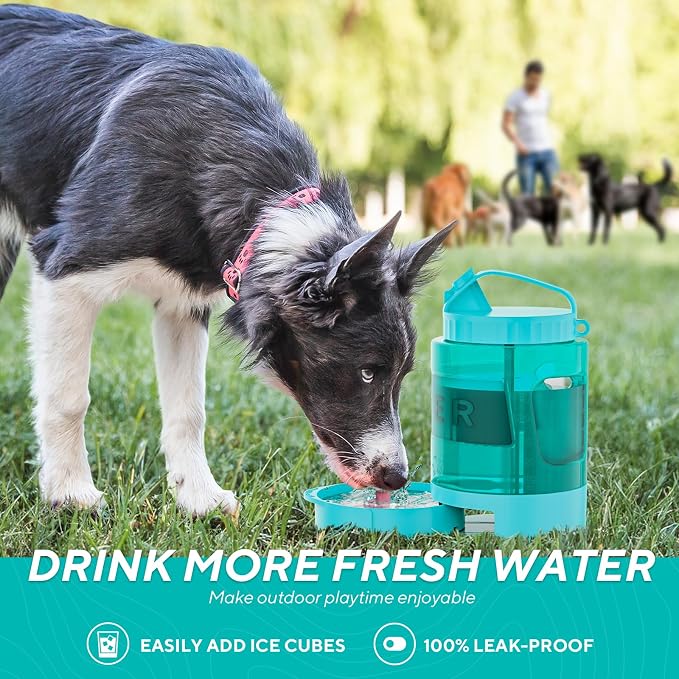 77oz Portable Dog Water Bottle, Large Travel Water Bowls for Dogs Camping Essentials Hiking Park Traveling Beach Walk Accessories, Dog Water Bowl Dispenser with Pull-Out Drinking Bowl, BPA Free - Image 6