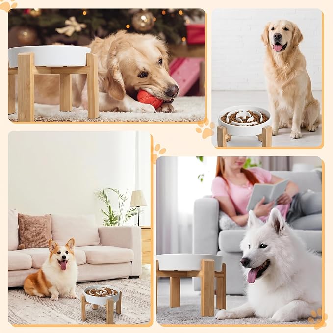 Elevated Slow Feeder Dog Bowl - Ceramic Food Dish with Bamboo Stand - Raised Maze Design - Ideal for Medium to Large Dogs - White - 8.8 inch | 3.2 Cups Slow Feeding Dog Dish for Fast Eaters, 7" Tall Anti-Slip Raised Slow Feeder for Medium to Large Bree... - Image 6