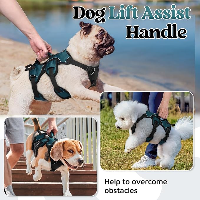 rabbitgoo Escape Proof Dog Harness for Small, No Pull with Lift Handle | No Escape, Full Soft Padded, Reflective Adjustable Vest, Leash Clip for Walking Hiking Training, Dark Green, Small - Image 3