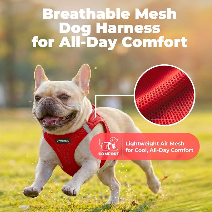 Voyager Step-in Air Dog Vest Harness - Red, XXX-Small | 11 - 12" in Chest, Reflective Bands, All Weather Breathable Air Mesh, Cats Compatible, Lightweight, Fast Drying - Image 5