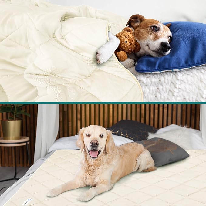 PetAmi Premium Cooling Dog Blanket | Lightweight Fluffy Pet Throw Blanket Bed Cover for Dogs, Cat, Puppies | Pet Blanket Furniture Protector Couch Sofa | Reversible Fuzzy Cozy | 60x80, Beige Latte - Image 2