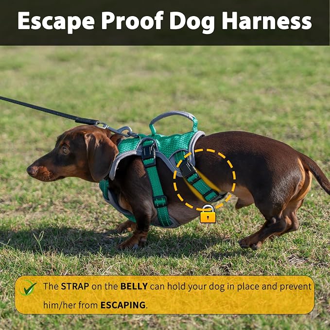 Escape Proof Dog Harness, Dachshund Harness, Reflective Dog Harness with Handle, Durable,Adjustable Vest for Small Medium Large Dogs Walking, Training, and Running Gear (Mint Green,XL) - Image 2