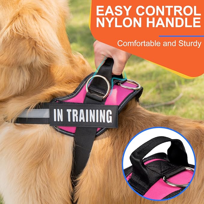 Essential Dog Harness, No Pull Pet Harness with 3 Side Rings for Leash Placement, No Choke, Reflective, Adjustable Pet Vest, Easy On-Off & Improved Control Handle, Training, Walking, Running - Image 6