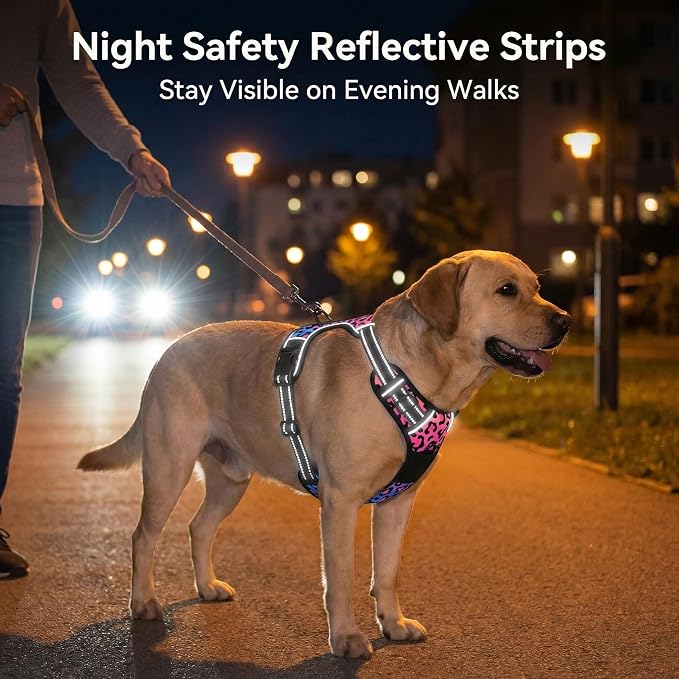 Rnivvi No Pull Dog Harness, Cute Leopard Reflective Small Sized Puppy Kitten Harness, Adjustable Soft Padded Vest for Small Dogs, Cats, Heavy Duty Pet Vest with Easy Control Handle for Walking, Neon - Image 2