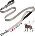 Fida Heavy Duty Dog Leash for Medium Large Dogs, 6 FT, Dual Padded Handles | Traffic Handle for Close Control, Advanced Easy Snap Hook, Reflective, Strong Nylon Webbing for Daily Walks & Training, Grey by Fida