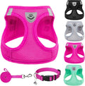 PUPTECK Dog Harness, Collar and Leash Set No Pull for Small Medium Sized | Soft Mesh Puppy Step-in Escape Proof Reflective No Choke Pet Cat Adjustable Walking Vest by PUPTECK