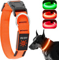 Light Up Dog Collar, Rechargeable USB Collar, Waterproof, Luminous LED Collar, Adjustable, Super Bright, Night Walking for Small Medium Large Dogs, Orange, M by KOSKILL