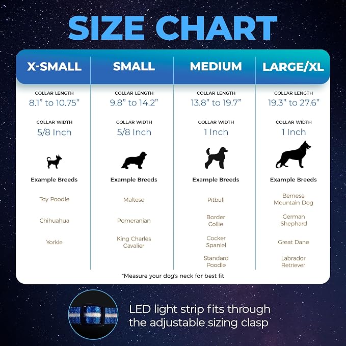 Blazin Light Up Dog Collar - The Original LED Dog Collar - USB Rechargeable - Waterproof - 1,000 Feet of Visibility - Dog Collar Light for Small, Medium, Large Dogs - USA Brand - Image 5