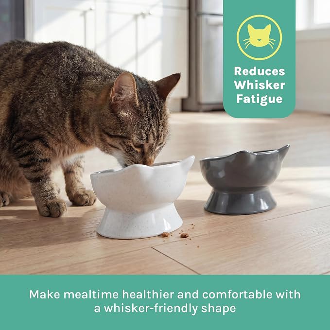 Kitty City Elevated Slow Feeder Cat Bowls (Set of 2), Whisker-Friendly Raised Cat Food Dishes with Ridges, Helps Reduce Fast Eating & Digestion Issues, Dishwasher Safe, 6.5 oz – White & Gray - Image 4