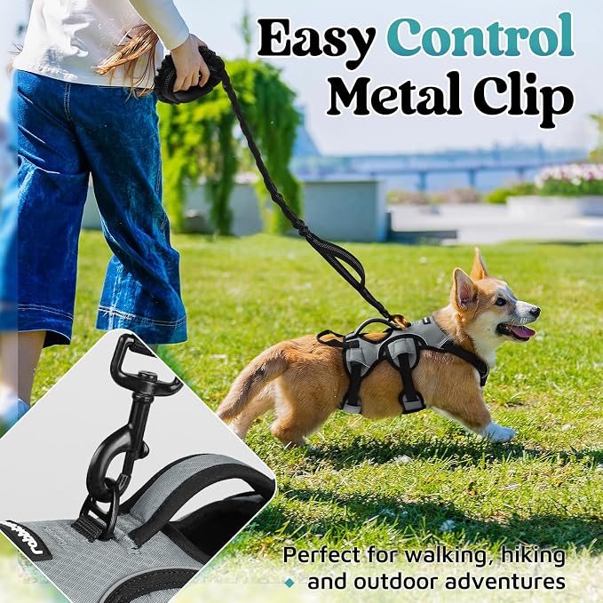 rabbitgoo Escape Proof Dog Harness for Small, No Pull with Lift Handle | No Escape, Full Soft Padded, Reflective Adjustable Vest, Leash Clip for Walking Hiking Training, Grey, Small - Image 5