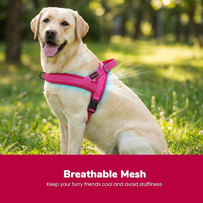 No Pull Dog Harness for Large Dogs, Breathable Mesh Padded,Hot Pink,L | Quick Fit, Easy On and Off, Lightweight, Reflective Vest Harness for Night Safty, Easy for Walking and Training, Chest 26-32" - Image 2