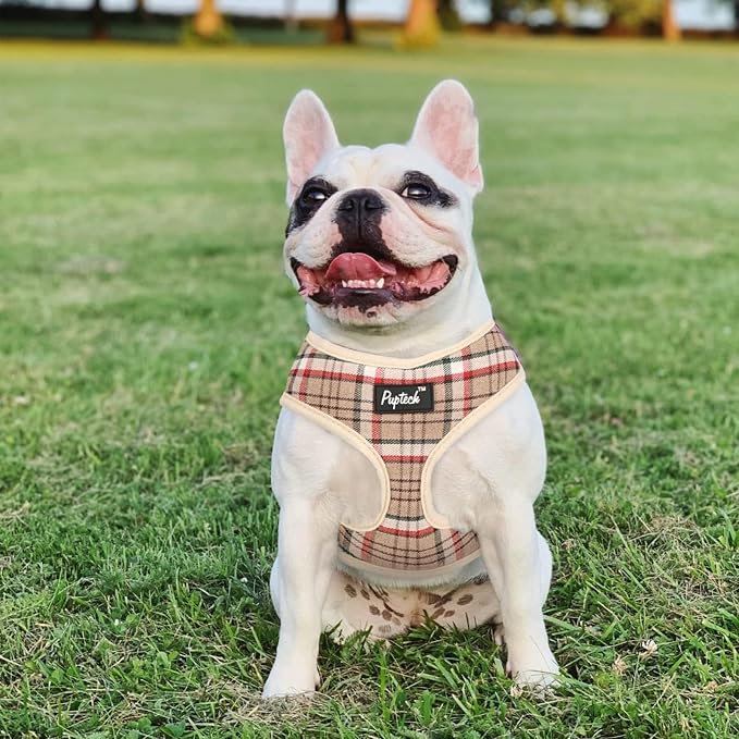 PUPTECK Small Dog Harness and Leash Set No Pull for XS XXS Sized Dogs Puppy | Escape Proof No Choke Pet Cat Adjustable Soft Padded Walking Vest - Image 6