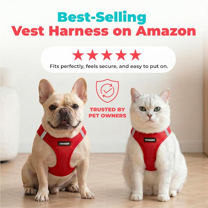 Voyager Step-in Air Dog Vest Harness - Red, XXX-Small | 11 - 12" in Chest, Reflective Bands, All Weather Breathable Air Mesh, Cats Compatible, Lightweight, Fast Drying - Image 6