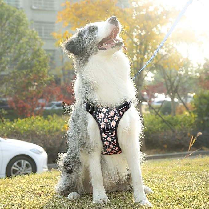 Timos No Pull Dog Harness,NO Need Go Over Dogs Head 3 Snap Buckles Reflective Oxford No Choke Harness with Front&Back 2 Metal Leash Clips Soft Padded for Small Medium Large Dogs,X-Large (Pack of 1) | Reflective, No Choke, Easy On & Off, Adjustable Soft... - Image 6