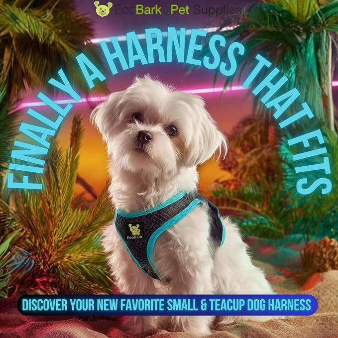 EcoBark Step in Dog Harness, Reflective Mesh Halter, Black & Teal, Large | Eco Friendly Dog Harnesses for Small & Medium Breed Dogs, Soft Mesh Toy Breed Harnesses, Adjustable Body Halter Vest - Image 2