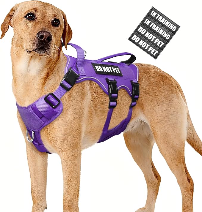 WINSEE Escape Proof Dog Harness with Double Handle+4 Removable Patches | Service Working Molle Harness with Double Handle for Large Dogs, Tactical Pet Reflective Vest for Walking Hiking Hunting by WINSEE