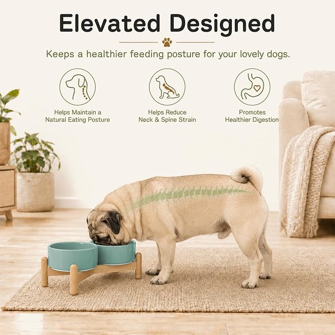 Havniva Ceramic Dog Bowls Elevated, Raised Dog Food Bowl for Puppies | 5.1” Elevated Dog Bowls, Non-Slip Wood Stand, Dog Food and Water Bowl Set, Dog Feeding Dish, Large Capacity Pet Water Bowl - Image 4