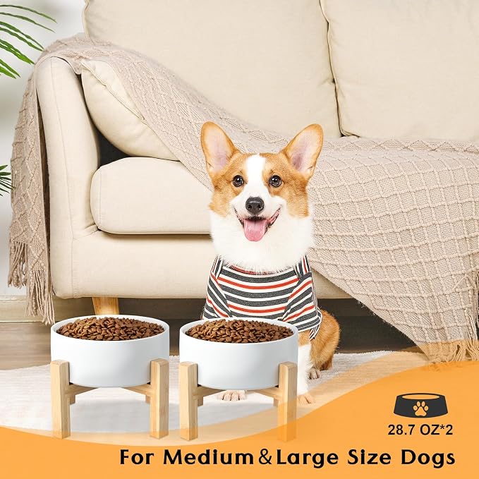 SPUNKYJUNKY Ceramic Elevated Dog Bowls 2 Pack - 6.1inch Raised Dog Bowls with Non-Slip Wooden Stand for Medium Dogs Dishwasher Safe(White,28.7OZ*2) - Image 7