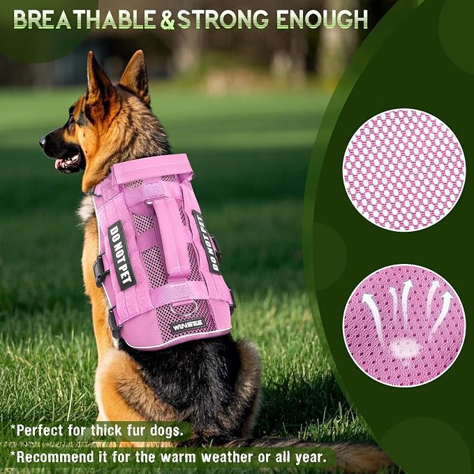 WINSEE Tactical Molle Vest Mesh Dog Harness with 10 Removale Pet Patches | Breathable Service Dog harness with Double Soft Padded Handle for Medium Dog, Reflective Military Pet Vest for Walk Hiking - Image 2