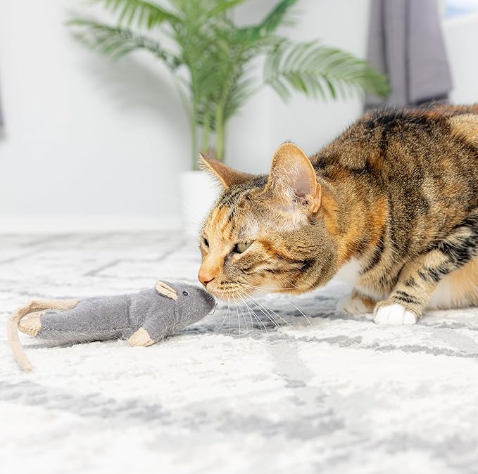 SPOT Flat Mouse Frankie with Catnip - Cat Toy, Fuzzy Mice with Catnip and Crinkle Sound, Perfect Size for Pouncing on, Chasing, Hunting - 5.5in Plush Toys, Assorted Colors - Image 4