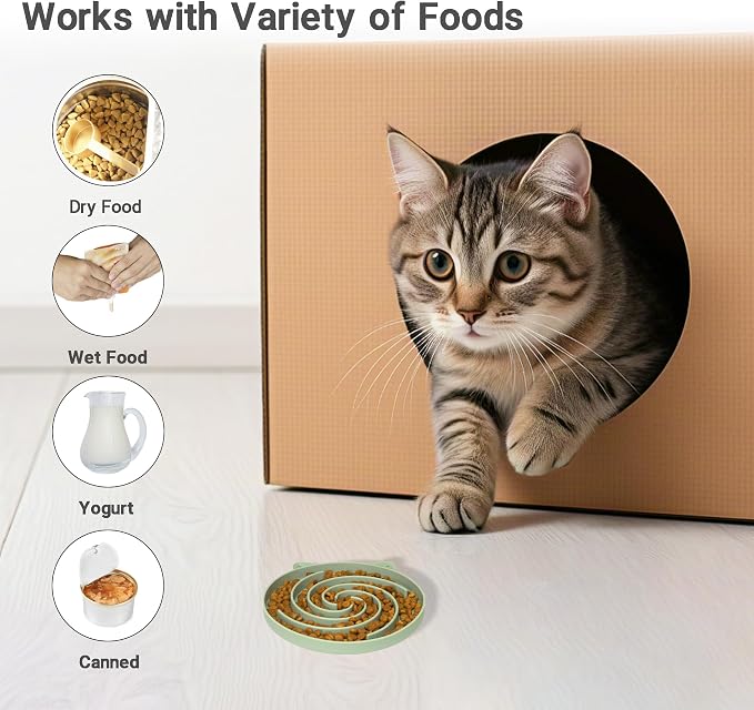 Bifeaw Slow Feeder Cat Bowl, Easy to Clean Silicone Bowl, Ideal for Dry and Wet Food (Green and Blue) - Image 3
