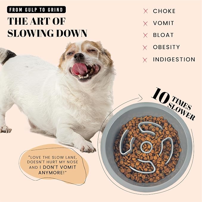 AVERYDAY Slow Feeder Dog Bowls for Medium Breeds Fits Raised Feeding Station, Puzzle Dog Food Bowls to Slow Down Eating, Dogs Feeding Bowl with Non-Slip, Slows Feeder Pet Bowl for Wet and Dry Food - Image 2