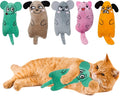 MMaiiu 5pcs Catnip Toys, Funny cat Toy, bite Resistant cat Toys | Indoor Cartoon cat Toys for cat,cat chew Toys by MAIIU