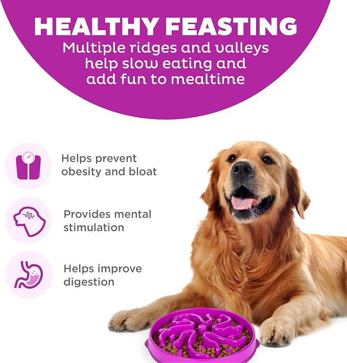 Outward Hound Fun Feeder Slo Bowl – Large 4‑Cup Capacity, Slow Feeding, Medium to Large Dogs, Non‑Slip, Purple, Flower Pattern | Slows Fast Eaters, Can Aid Digestion, Holds 4 Cups Dry or Wet Food, Non-Slip Base, Easy Clean, No BPA, Medium to Large Dogs - Image 2