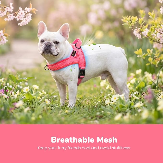 No Pull Dog Harness for Small Dogs, Breathable Mesh Padded, Pink, S | Quick Fit, Easy On and Off, Lightweight, Reflective Vest Harness for Night Safty, Easy for Walking and Training, Chest 18-22" - Image 2