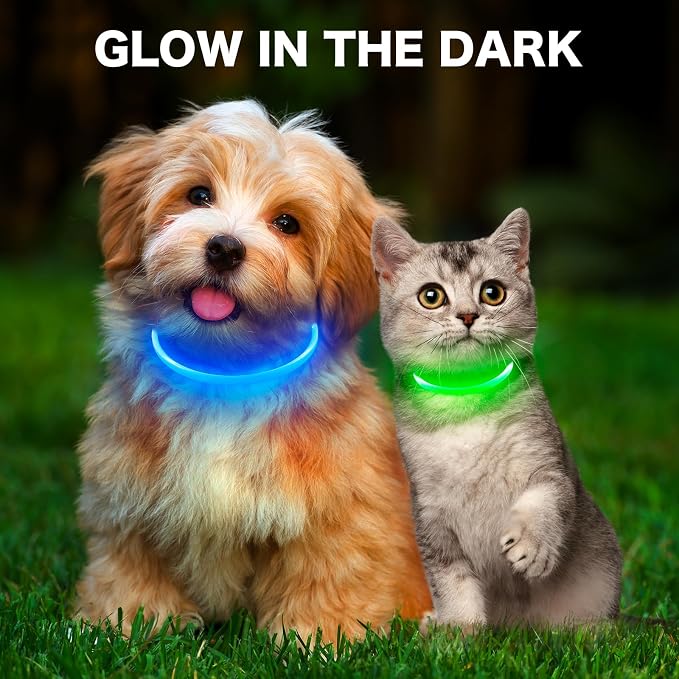 Light Up Dog Collar, High Visibility LED Dog Collar Rechargeable- Rainproof TPU Cuttable Glowing Pet Collar for Small Dogs & Cats - Puppy Safety Lights for Night Walking (XS- Blue 40cm) - Image 6