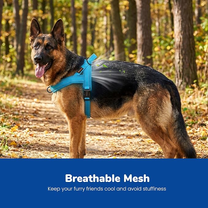 No Pull Dog Harness for Large Dogs, Breathable Mesh Padded, Blue, L | Quick Fit, Easy On and Off, Lightweight, Reflective Vest Harness for Night Safty, Easy for Walking and Training, Chest 26-32" - Image 2
