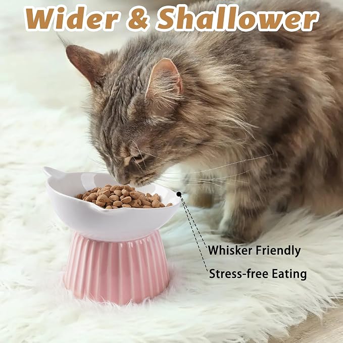 Ceramic Raised Cat Bowl，Tilted Raised Bowl Anti Vomit for Indoor Cats Whisker Friendly Pet Feeder for Cats Puppies, Microwave and Dishwasher Safe (Blue) - Image 5