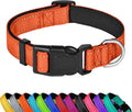 Reflective Dog Collar, Adjustable Soft Neoprene Padded,Orange,S | Breathable Nylon for Small Dogs,Tear-Resistant Webbing,Chafe‑Free on Walks and Hikes,Metal D-Ring,Night Safety by PWOD