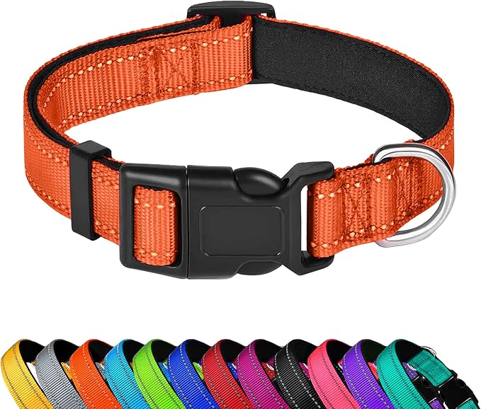 Reflective Dog Collar, Adjustable Soft Neoprene Padded,Orange,S | Breathable Nylon for Small Dogs,Tear-Resistant Webbing,Chafe‑Free on Walks and Hikes,Metal D-Ring,Night Safety by PWOD