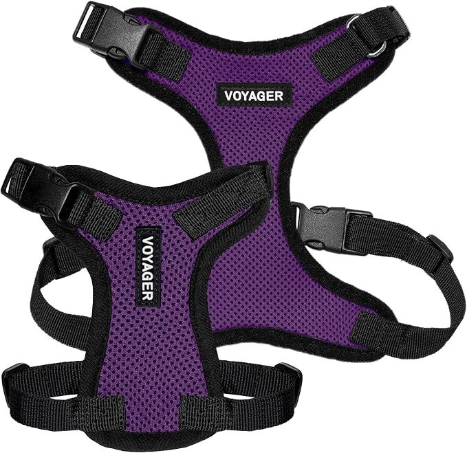 Voyager Step-in Lock Dog Harness - Purple/Black Trim, X-Large | 23 - 28" in Chest, Adjustable, Breathable Air Mesh, Lightweight for Daily Walks, Strong Clips, Heavy Duty D-Ring - Image 6