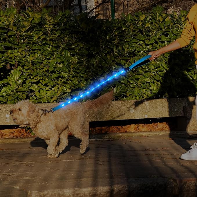 Illumifun LED Dog Leash, USB Rechargeable Glowing LED Lead, 4 FT Nylon Light Up Leashes for Dogs Wlaking at Night (BlueⅡ) - Image 5