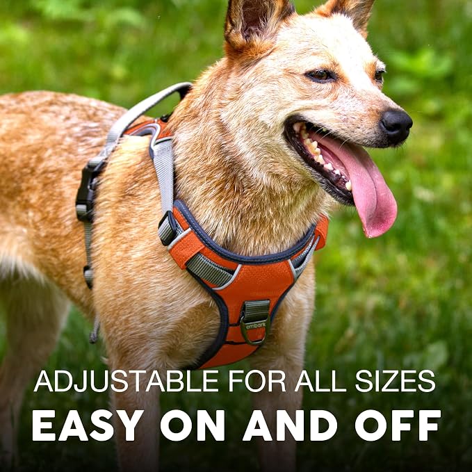 Embark No Pull Dog Harness, Reflective Adjustable Training Vest, No Choke | Adjustable straps fit all dog breeds with sturdy hooks; 360° reflective trim, soft padded Harness Design for All Dogs - Image 4