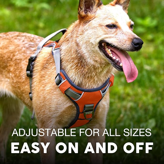 Embark No Pull Dog Harness, Reflective Adjustable Training Vest, No Choke | Adjustable straps fit all dog breeds with sturdy hooks; 360° reflective trim, soft padded Harness Design for All Dogs - Image 4