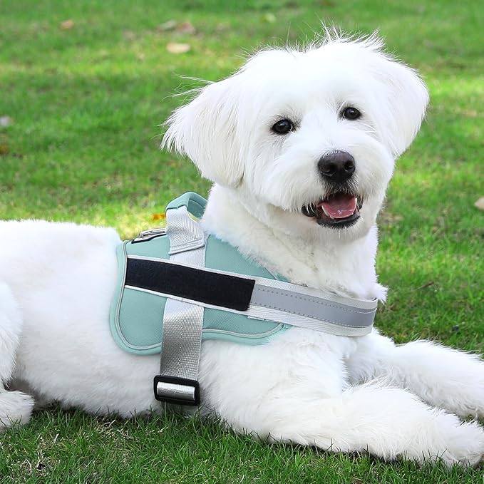 Dog Harness, No-Pull Reflective Dog Vest, Breathable Adjustable Pet Harness with Handle for Outdoor Walking - No More Pulling, Tugging or Choking - Image 8