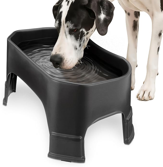 Neater Pet Brands Extra Large Water Bowl for Dogs, Elevated Outdoor Dog Water Bowl (2.25 Gallon XL Capacity), Big Trough Style Food Dish for Indoors or Outside, No Spill Large Dog Bowls, Black by NeaterPetBrands