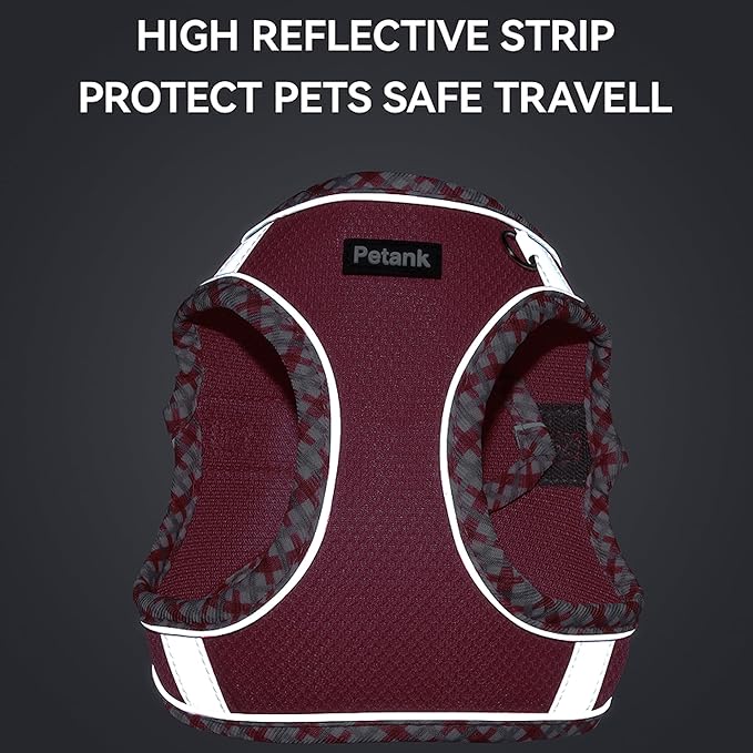 Petank Dog Harness for Small Medium Dogs No Pull, Puppy Harness and Leash Set for Walking, Running, Training, Small Dog Harness, Medium Dog Harness (Yellow, XXS) - Image 5