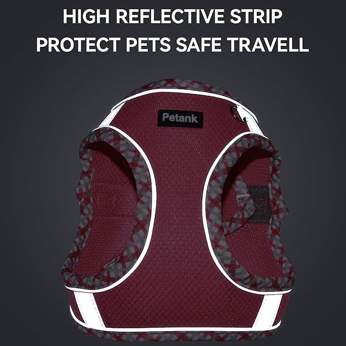 Petank Dog Harness for Small Medium Dogs No Pull, Puppy Harness and Leash Set for Walking, Running, Training, Small Dog Harness, Medium Dog Harness (Rose Red, L) - Image 6