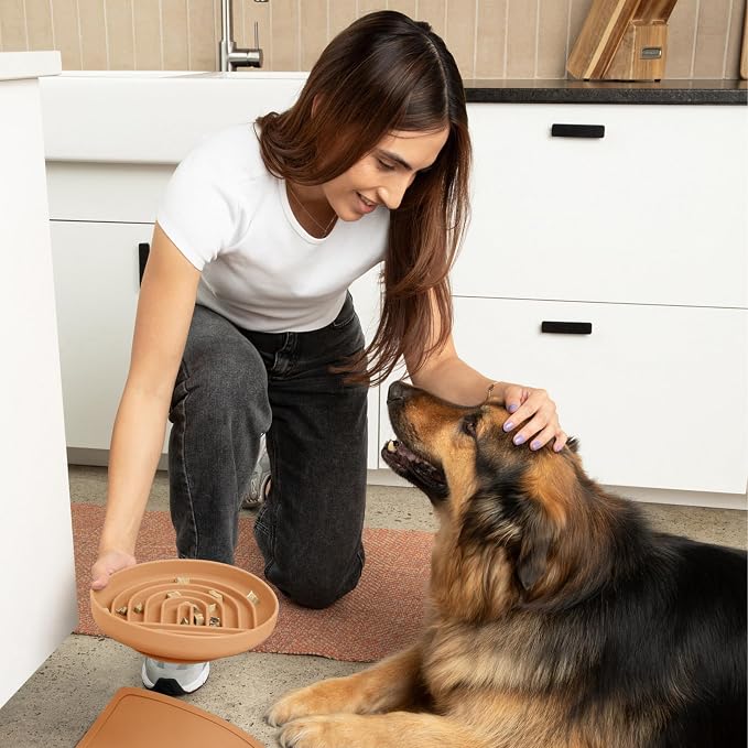 Should We Go? Slow Feeder Dog Bowls - Large Size Silicone Slow Eating Dog Bowl for Puppies & Dogs with Suction Cup -Dishwasher-Safe,Lick Mat Design,Reduces Gulping,for All Breeds,9.5”x1.5”-Terracotta - Image 3