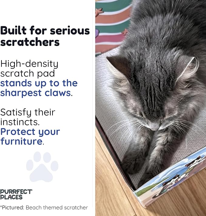 Themed Cardboard Cat House & Scratcher | Underwater Theme | Enclosed Privacy Bed and Premium Corrugated Scratch Pad for Small, Medium & Large Indoor Cats, 13.5 inches (Meow Reef) - Image 3